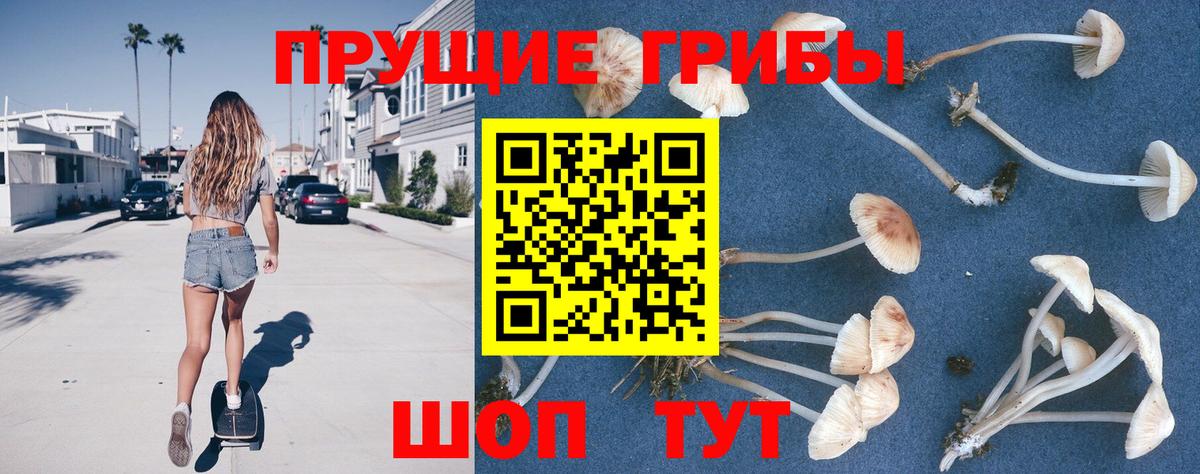 Владикавказ  Псилоцибиновые грибы MAGIC MUSHROOMS  Вход с VPN 
